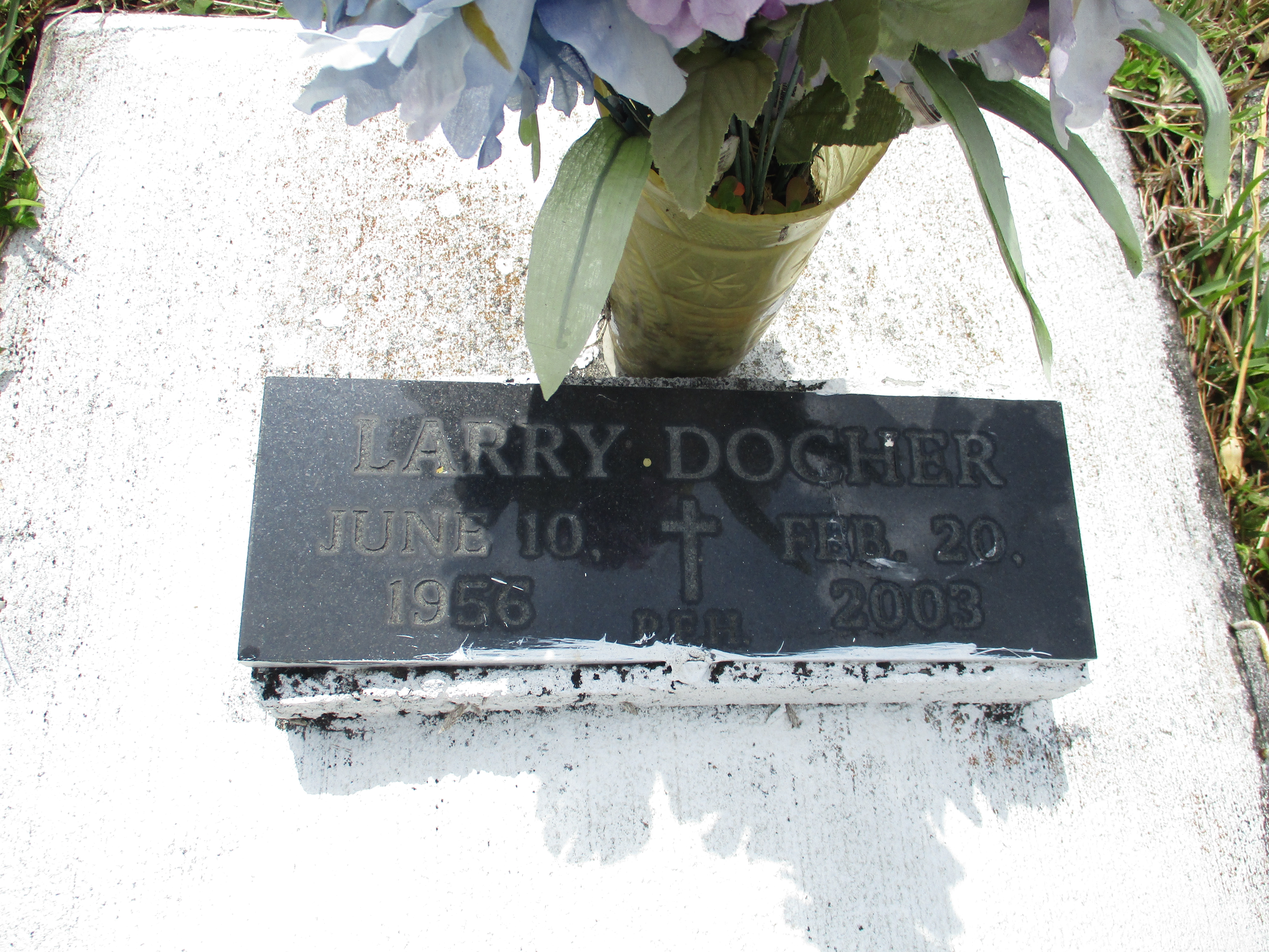 Larry Dogher