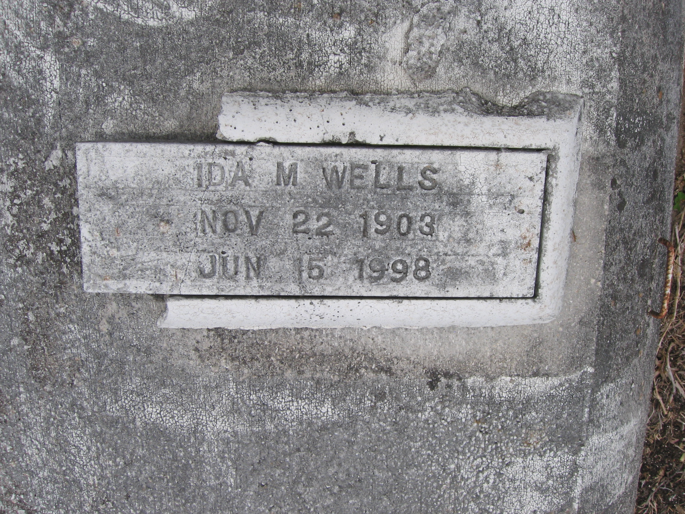Ida M Wells