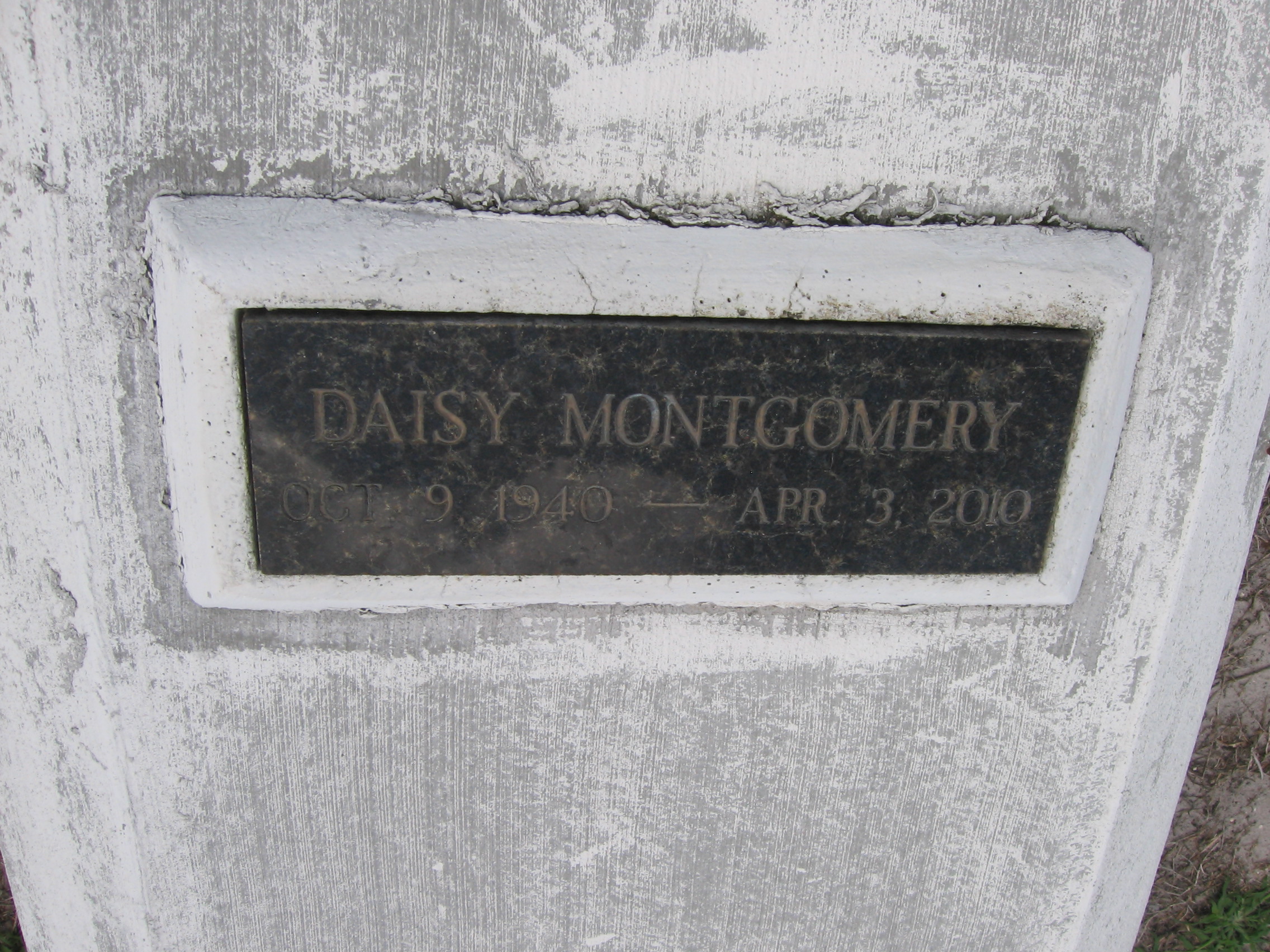 Daisy Montgomery