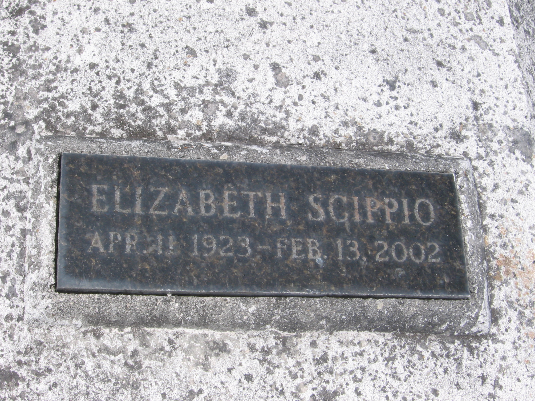 Elizabeth Scippio