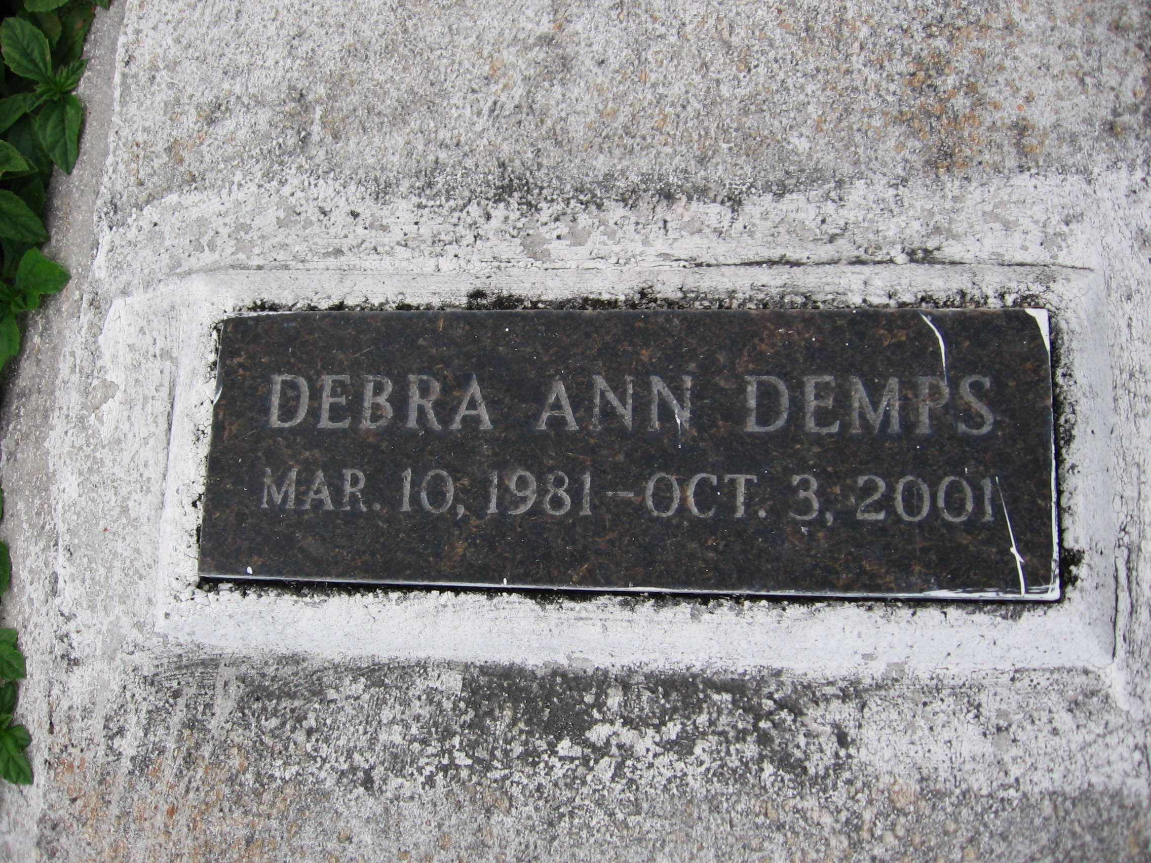 Debra Ann Demps