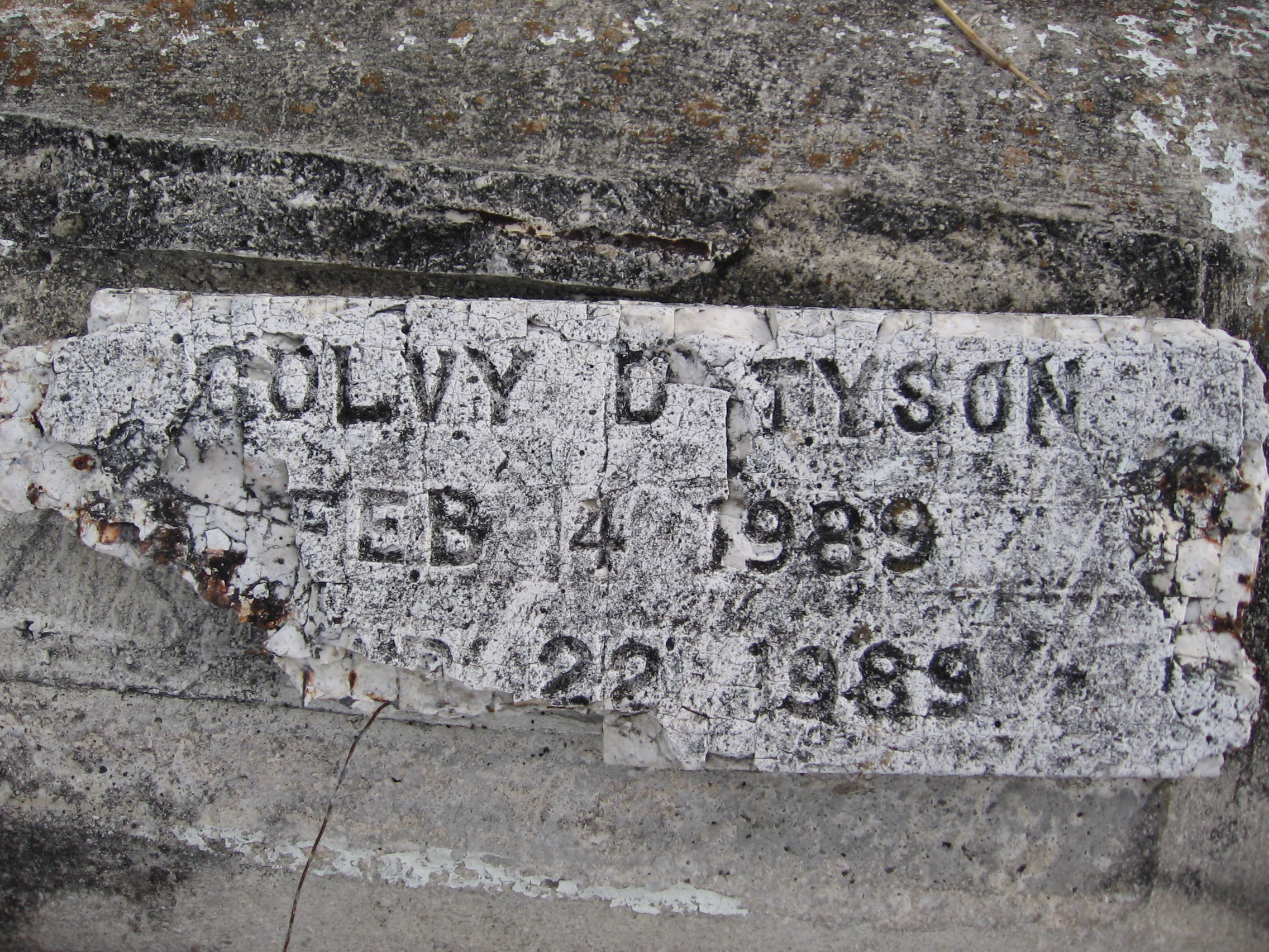 Colvy D Tyson