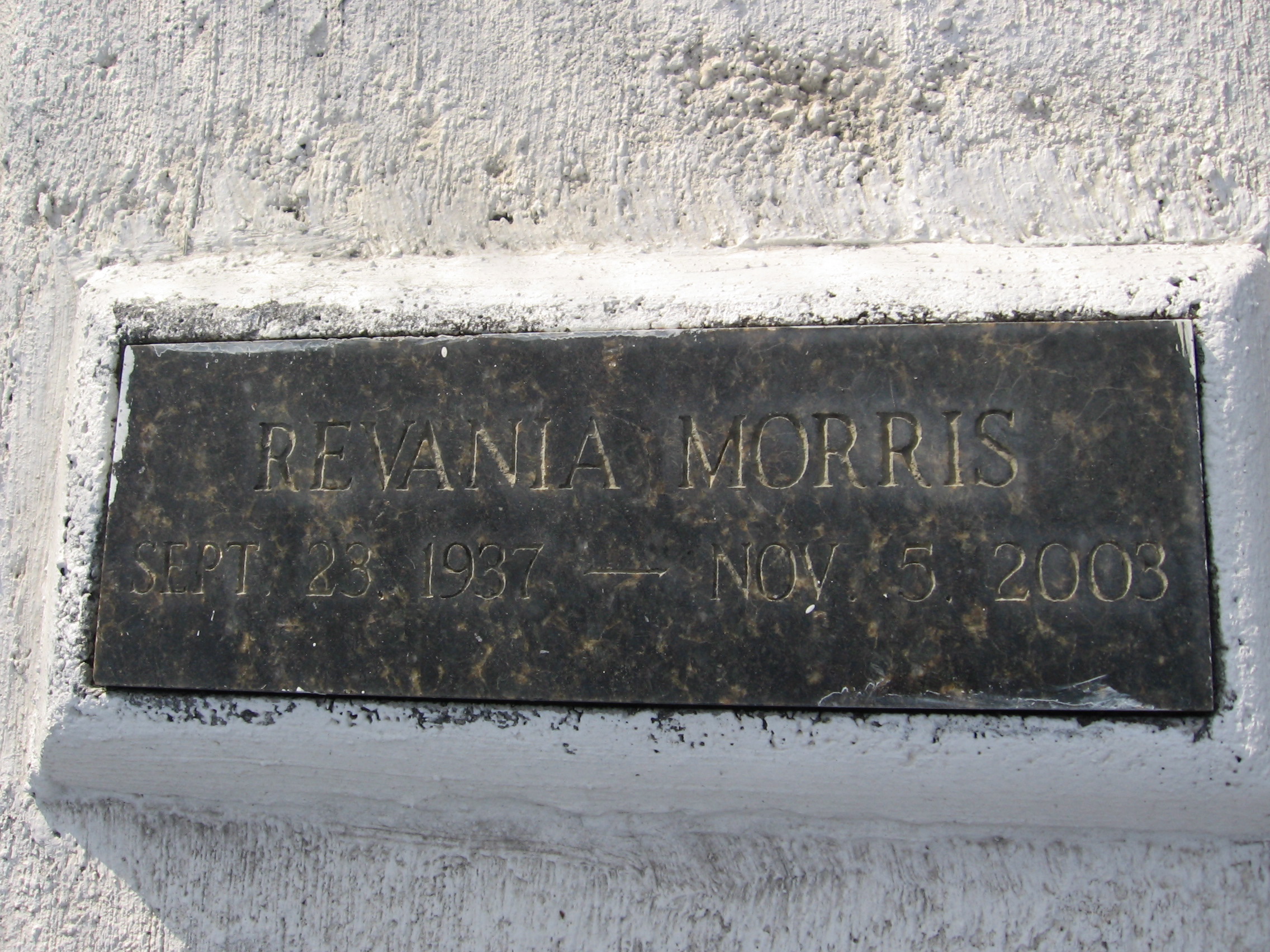 Revania Morris