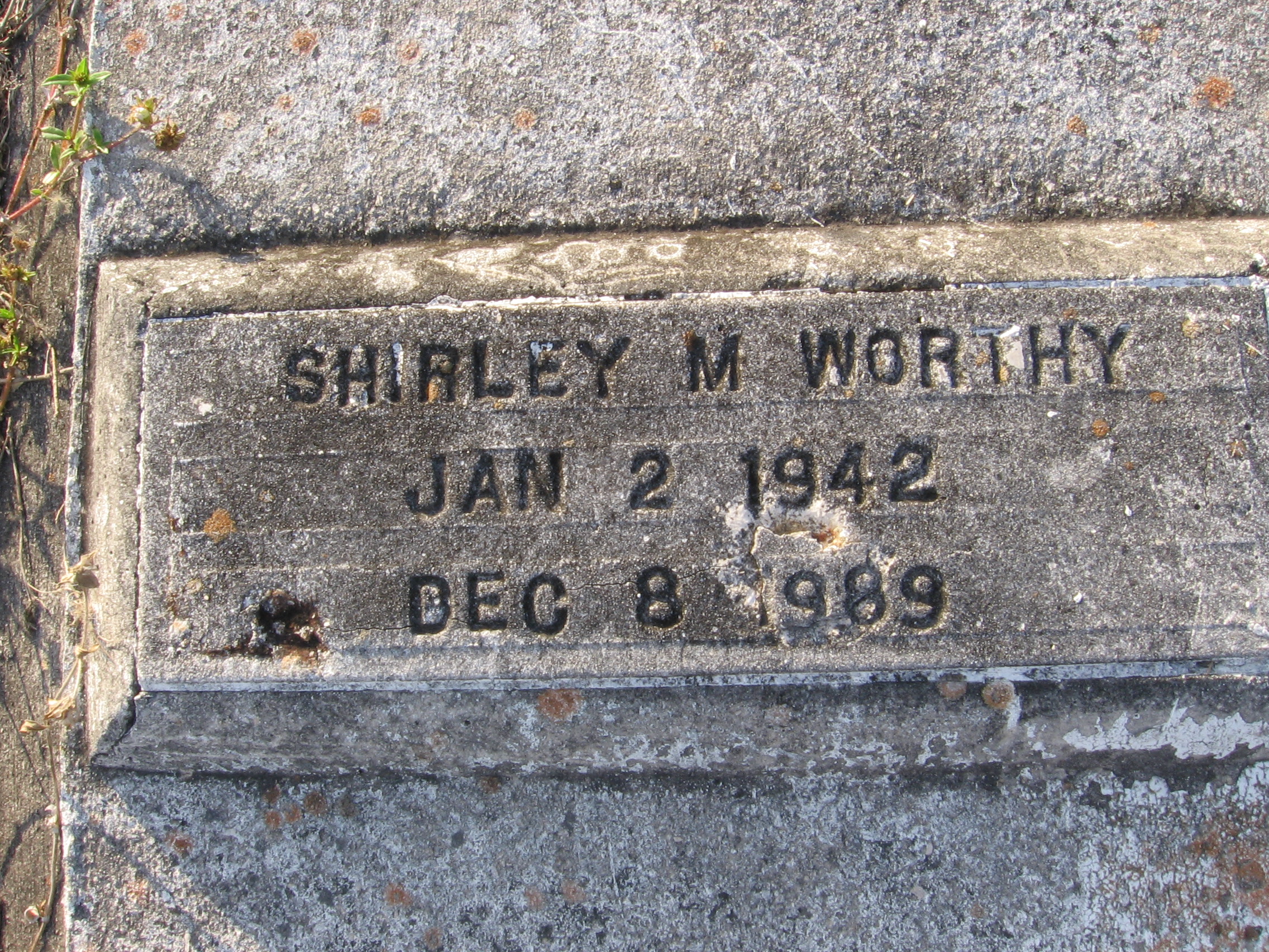 Shirley Mae Worthy