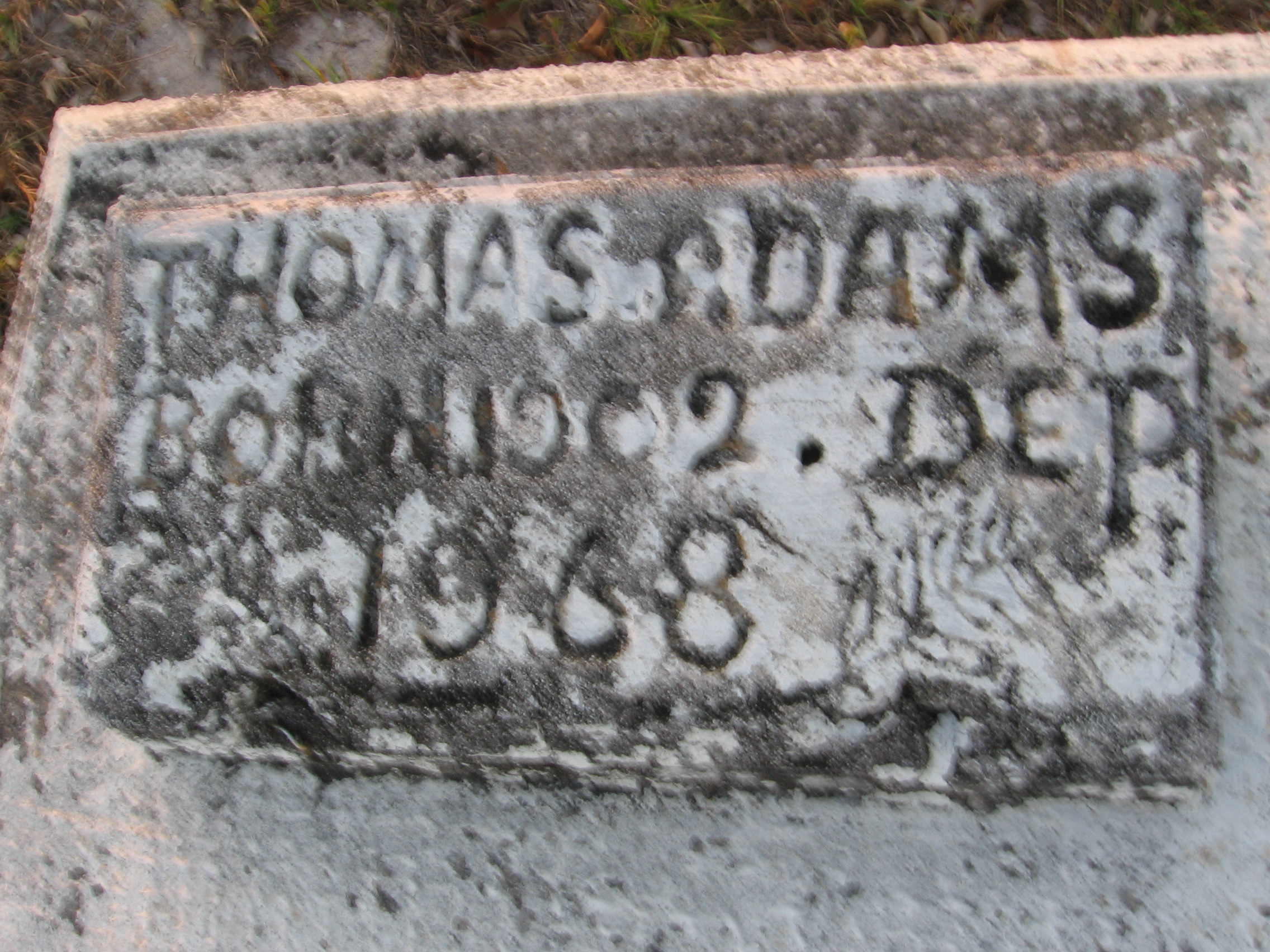 Thomas P Dams