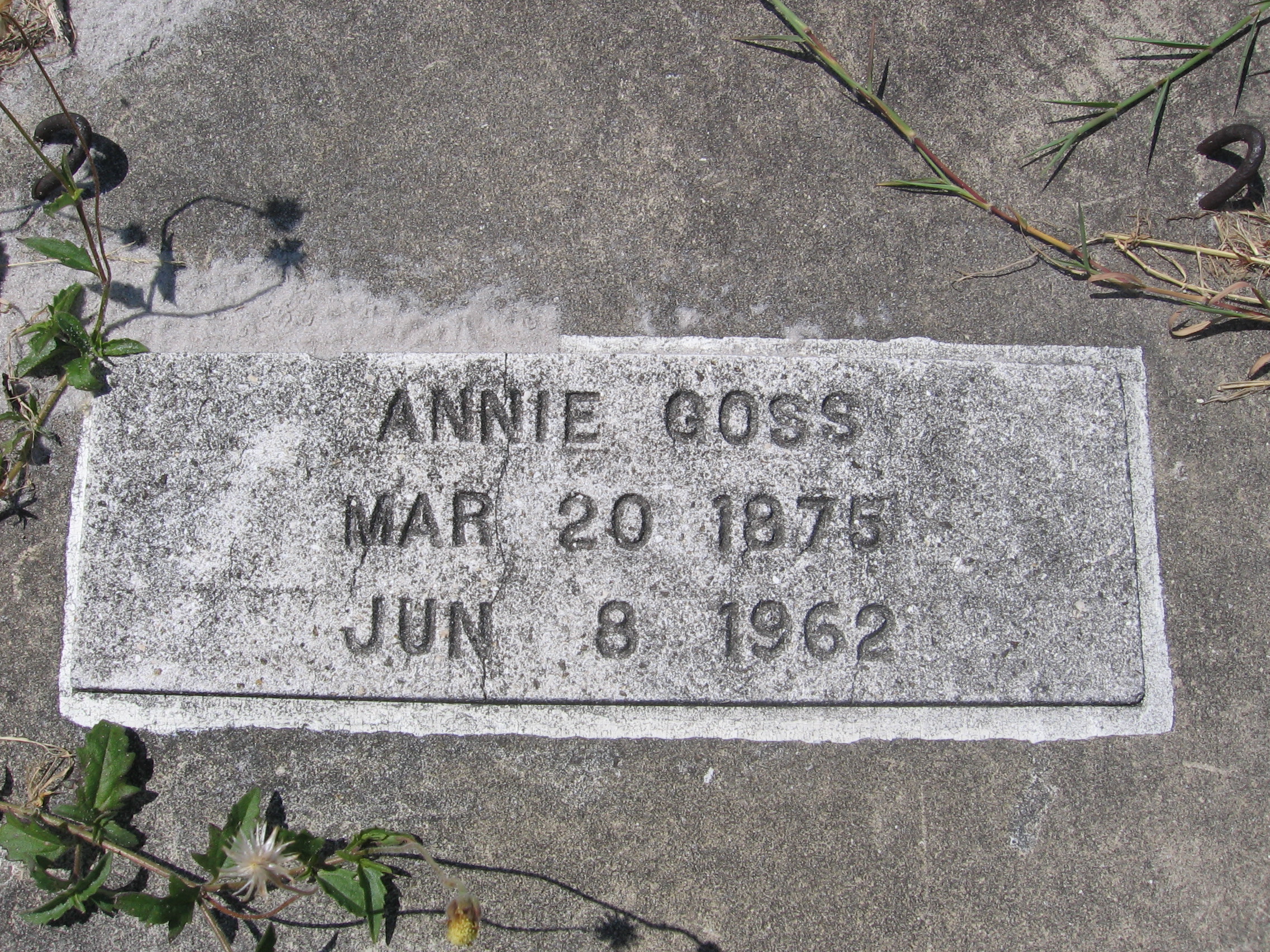 Annie Goss