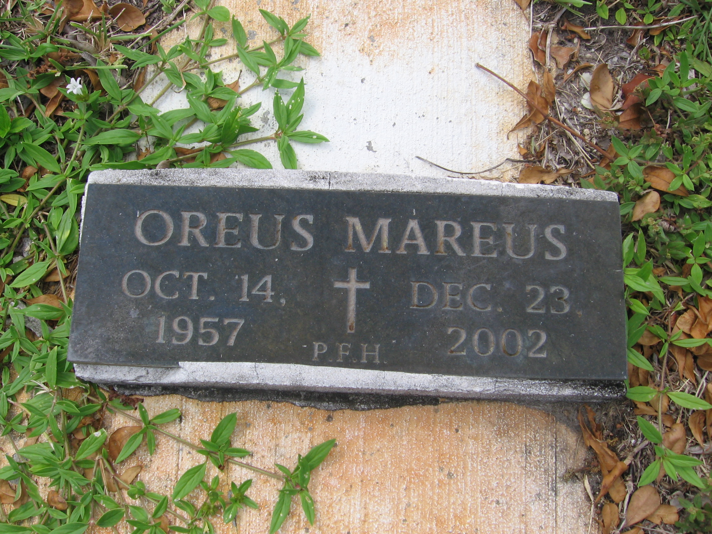 Oreus Mareus