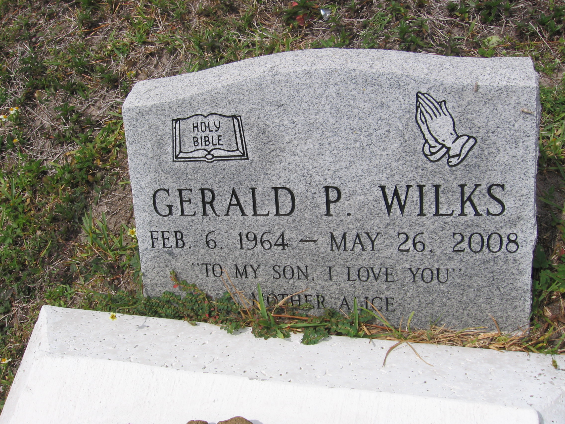 Gerald P Wilks